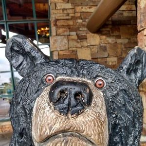 Meet your Posher, Evan